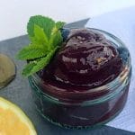 Lemon and Blueberry Sorbet